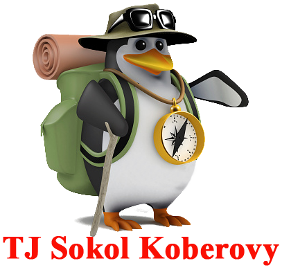 TJ Sokol Koberovy